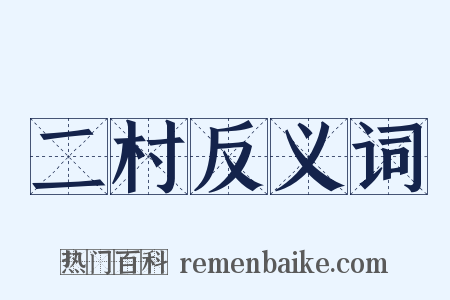 二村反义词是什么意思的图片